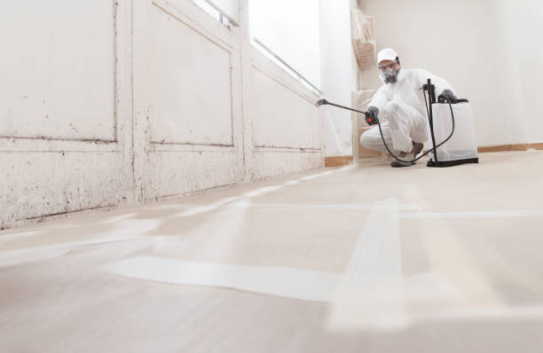 24/7 Emergency Black Mold Removal experts in Wylie, TX