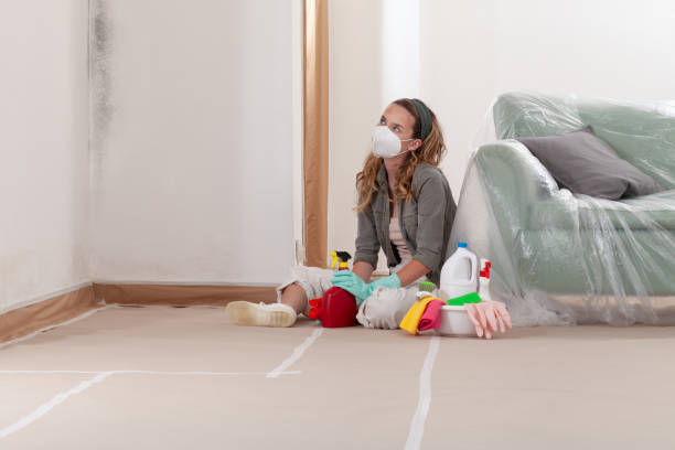 Trusted Black Mold Removal service in Wylie, TX - Cheap Mold Removal